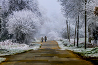 The walk